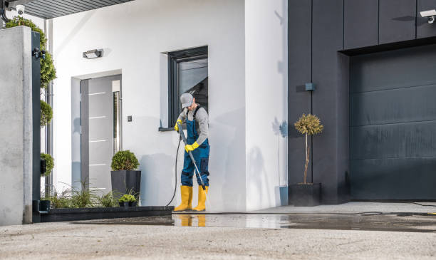Best Spring Cleaning  in Southfield, MI